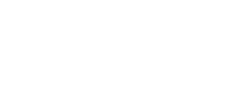 Fender